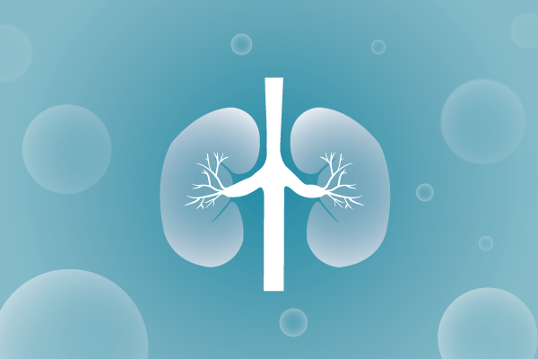 泌尿系統(tǒng)，腎臟，膀胱，尿病，腎不好遺傳病、基因病、罕見病的基因解碼，基因檢測，基因篩查與分子診斷