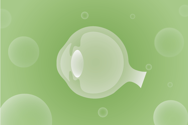 眼科，視光中心，眼科診所，眼睛相關遺傳病、基因病、罕見病的基因解碼，基因檢測，基因篩查與分子診斷