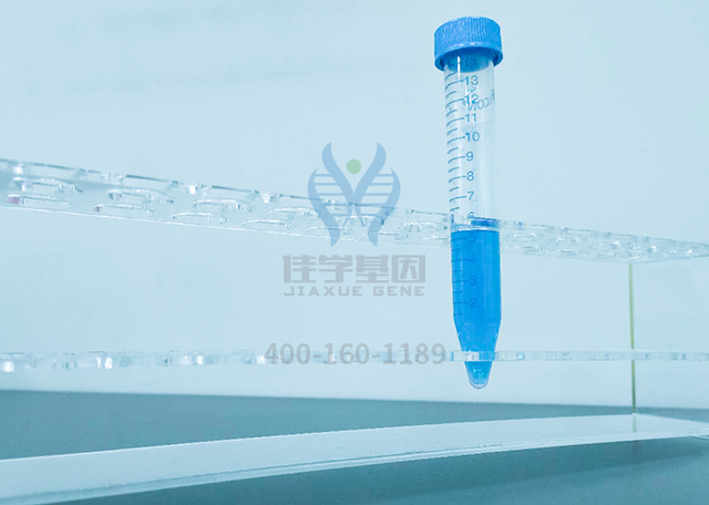 正確醫(yī)療，讓每一個(gè)人都擁有健康