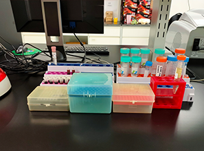 胰腺癌正確治療，四種類型四種方案