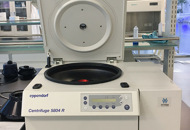 抑郁癥基因解碼，留住哥哥張國(guó)榮！