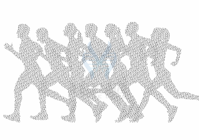 【佳學(xué)基因檢測】MERRF/<font color='red'>MELAS</font>重疊綜合征基因解碼、基因檢測可以只做基因解碼嗎？