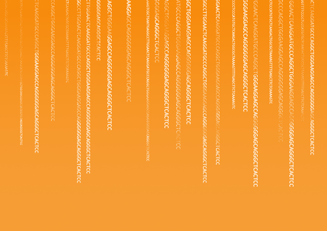 【佳學(xué)基因檢測】怎么做Kabuki綜合征基因解碼、<a  data-cke-saved-href=http://m.hyjhsj.com/tk/jiema/cexujishu/2021/31933.html href=http://m.hyjhsj.com/tk/jiema/cexujishu/2021/31933.html>基因檢測</a>?