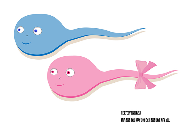 【佳學(xué)基因檢測】致死性侏儒基因解碼、<a href=http://m.hyjhsj.com/tk/jiema/cexujishu/2021/31933.html>基因檢測</a>可以只做<a href=http://m.hyjhsj.com/tk/jiema/cexujishu/2021/31933.html>基因檢測</a>嗎？