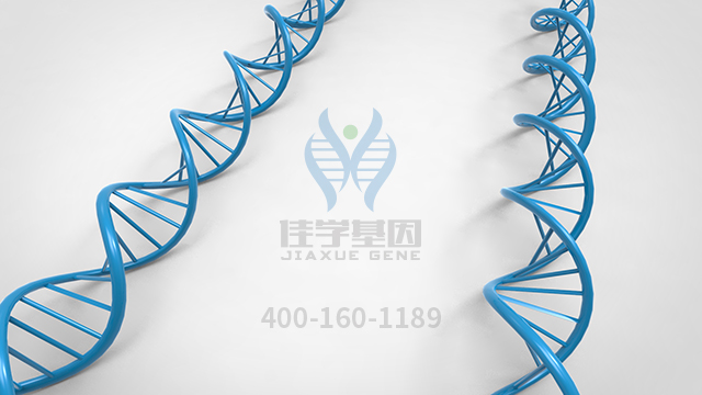 <b>【佳學(xué)基因檢測】原發(fā)性限局性皮膚淀粉樣變1型基因解碼、基因檢測報告時間</b>