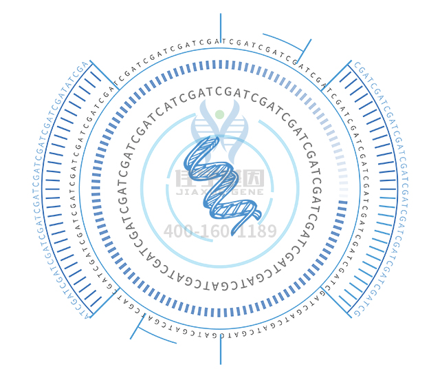 【佳學(xué)基因檢測】做Bj?rnstad綜合征基因解碼、<a  data-cke-saved-href=http://m.hyjhsj.com/tk/jiema/cexujishu/2021/31933.html href=http://m.hyjhsj.com/tk/jiema/cexujishu/2021/31933.html>基因檢測</a>方便嗎？