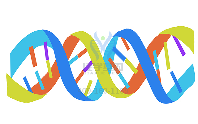 【佳學(xué)基因檢測(cè)】如何區(qū)分自閉癥嚴(yán)重基因解碼、<a href=http://m.hyjhsj.com/tk/jiema/cexujishu/2021/31933.html>基因檢測(cè)</a>？