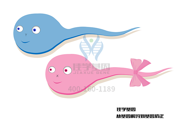 氯醇硝唑藥物<a href=http://m.hyjhsj.com/tk/jiema/cexujishu/2021/31933.html>基因檢測(cè)</a>