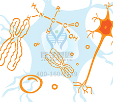 【佳學基因檢測】做Denys-Drash綜合征基因解碼、<a  data-cke-saved-href=http://m.hyjhsj.com/tk/jiema/cexujishu/2021/31933.html href=http://m.hyjhsj.com/tk/jiema/cexujishu/2021/31933.html>基因檢測</a>需要多少錢？