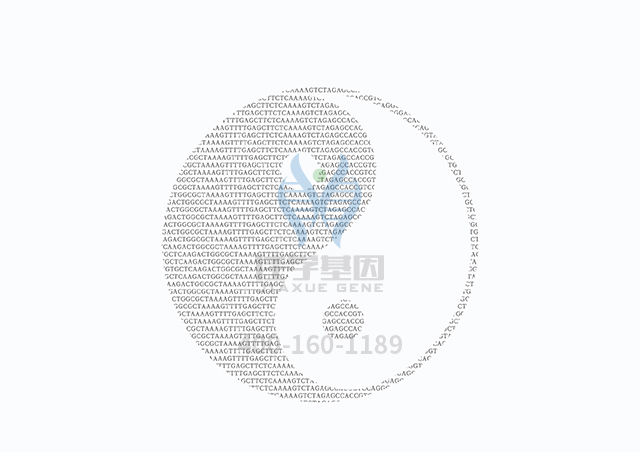 【佳學基因檢測】做網(wǎng)狀色素皮病基因解碼、<a  data-cke-saved-href=http://m.hyjhsj.com/tk/jiema/cexujishu/2021/31933.html href=http://m.hyjhsj.com/tk/jiema/cexujishu/2021/31933.html>基因檢測</a>需要多長時間？