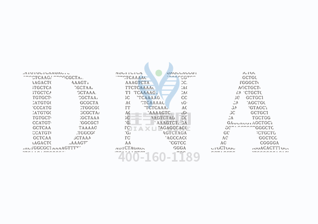 【佳學(xué)基因檢測】生精障礙10型基因解碼、<a href=http://m.hyjhsj.com/tk/jiema/cexujishu/2021/31933.html>基因檢測</a>怎么預(yù)約解讀？