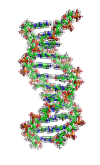 【佳學(xué)基因檢測】眼皮膚白化病4型基因解碼、<a href=http://m.hyjhsj.com/tk/jiema/cexujishu/2021/31933.html>基因檢測</a>的報告有人解讀嗎？