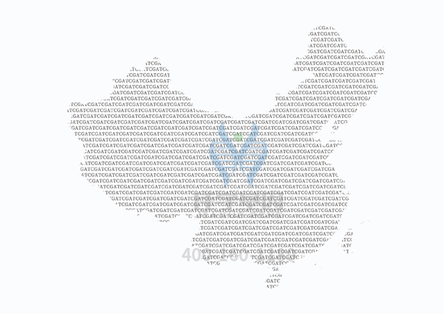 【佳學基因檢測】選擇性牙齒發(fā)育不全6型基因解碼、<a href=http://m.hyjhsj.com/tk/jiema/cexujishu/2021/31933.html>基因檢測</a>有什么用？