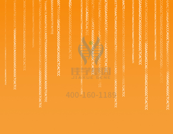 【佳學基因解碼-<a href=http://m.hyjhsj.com/tk/jiema/cexujishu/2021/31933.html>基因檢測</a>】這些舉動竟讓<font color='red'>脫發(fā)</font>的女孩們重拾自信！