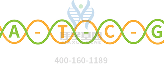 【佳學基因檢測】根本?。∟emoto disease)基因解碼、<a href=http://m.hyjhsj.com/tk/jiema/cexujishu/2021/31933.html>基因檢測</a>