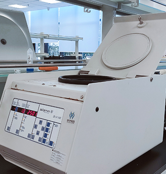 【佳學(xué)基因檢測】斯塔加特黃斑變性?。?lt;font color='red'><font color='red'>stargardt</font></font> macular degeneration)基因解碼、<a href=http://m.hyjhsj.com/tk/jiema/cexujishu/2021/31933.html>基因檢測</a>