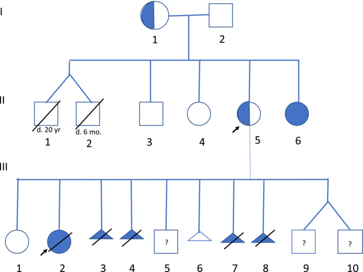 An external file that holds a picture, illustration, etc.
Object name is CCR3-10-e6706-g002.jpg