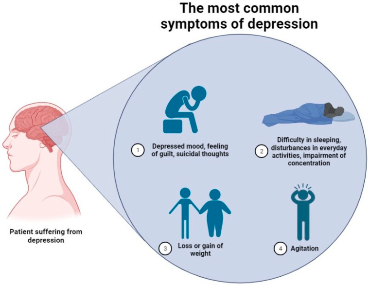 An external file that holds a picture, illustration, etc.
Object name is ijms-24-02946-g002.jpg