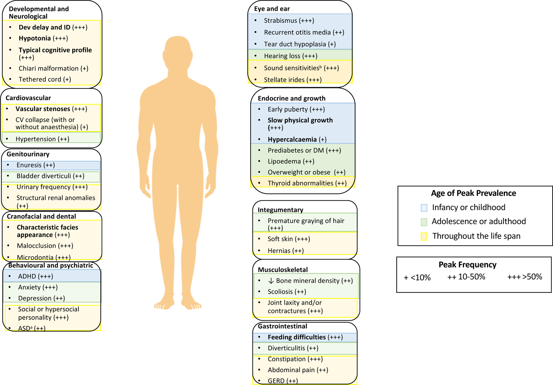 圖 1.威廉姆斯綜合征的顯著特征