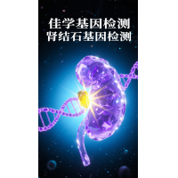 【佳學基因檢測】<font color='red'>胱<font color='red'>氨酸</font></font>結(jié)石及基因檢測的作用