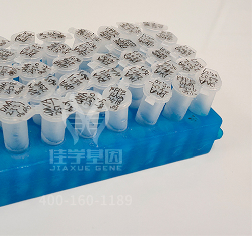 外科學期中考試關(guān)于CD4的考點列舉