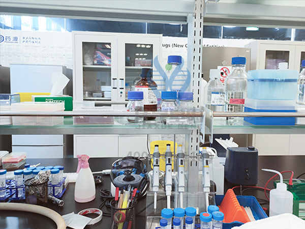  【佳學(xué)基因解碼-基因檢測】世界首例體細(xì)胞克隆猴在中國誕生，基因編輯技術(shù)